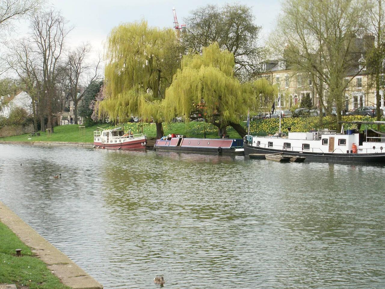 The River Cam