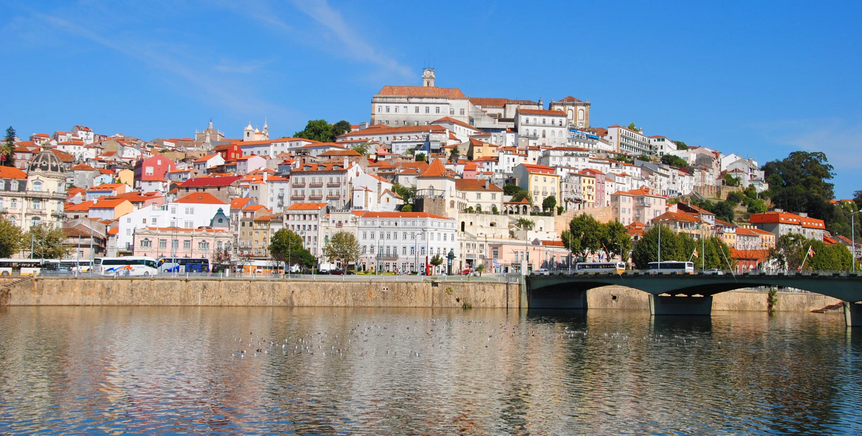 Mondego River